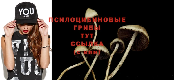 трава Алзамай