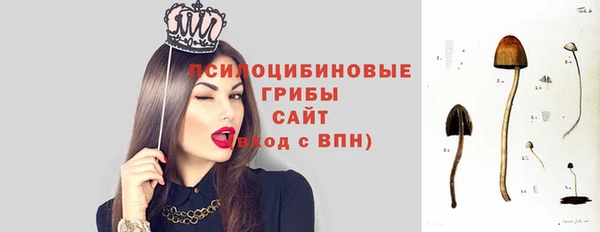 трава Алзамай