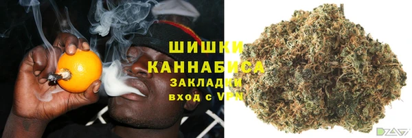 ГАЛЛЮЦИНОГЕННЫЕ ГРИБЫ Алексин