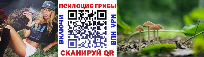 Галлюциногенные грибы мицелий  Островной 
